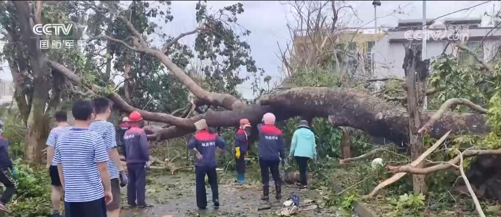 疏通道路、转移群众、灾后重建……抗击台风人民子弟兵来了!(图3)