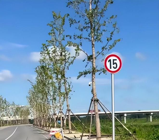 男孩骑行被碾身亡事件愈演愈烈：雪崩的时候没有一个人是无辜的(图7)