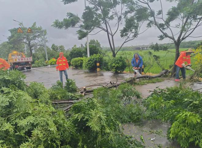 湛江客运班车、公交、机场恢复营运!风还没停他们逆风而行!(图7)