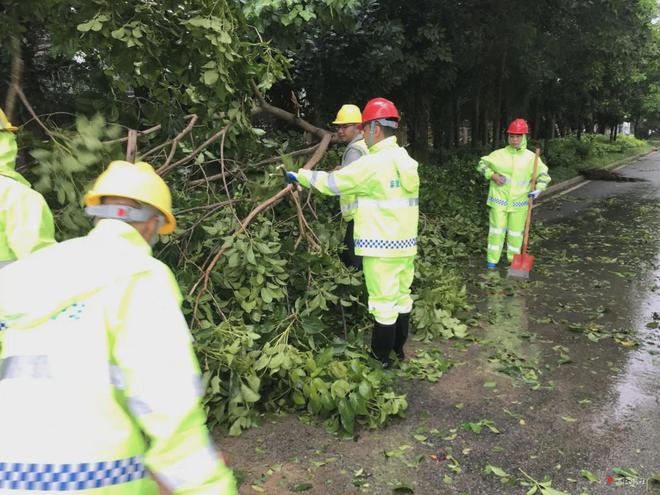 湛江客运班车、公交、机场恢复营运!风还没停他们逆风而行!(图10)