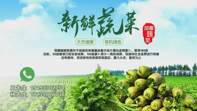 灵台：完善道路标识标线绘制城市文明“风景线”(图2)