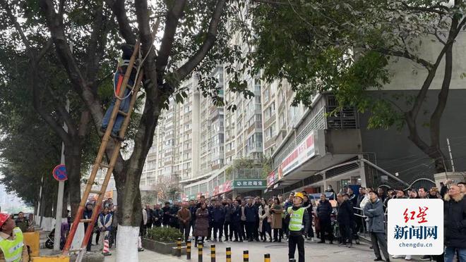 交通治堵市公园城市局在行动(图2)