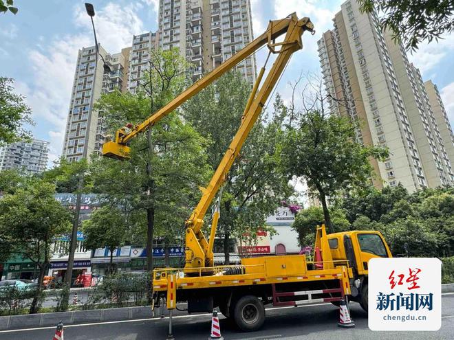 交通治堵市公园城市局在行动