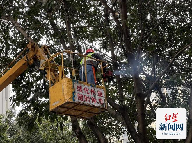 交通治堵市公园城市局在行动(图3)