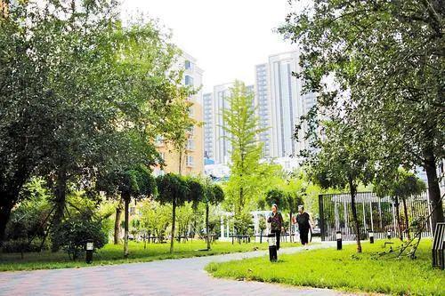 邯郸推进城市更新十二项攻坚行动!(图2)