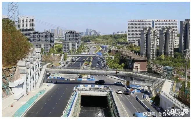 不可思议！重庆星光隧道北延线通车后照母山片区居然更堵了(图4)