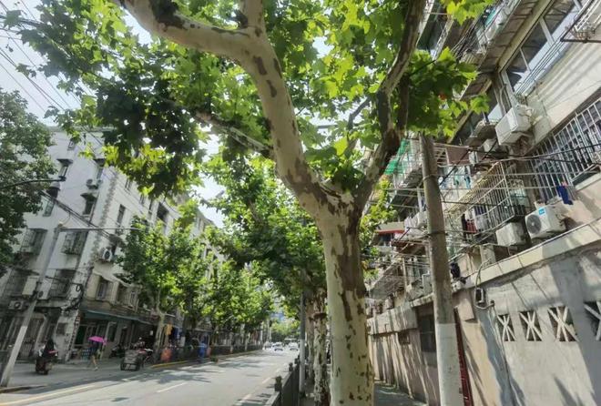 浦城小区售楼处网站陆家嘴现房精装修户型价格地址(图9)