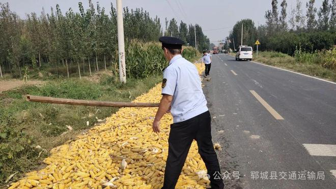 秋收郓城开始整治(图2)