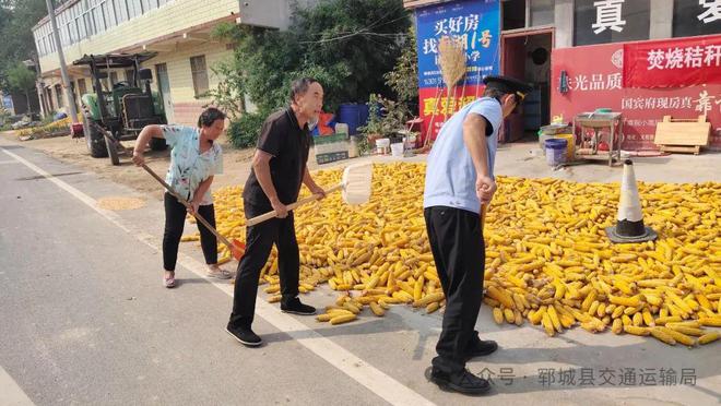 秋收郓城开始整治(图4)