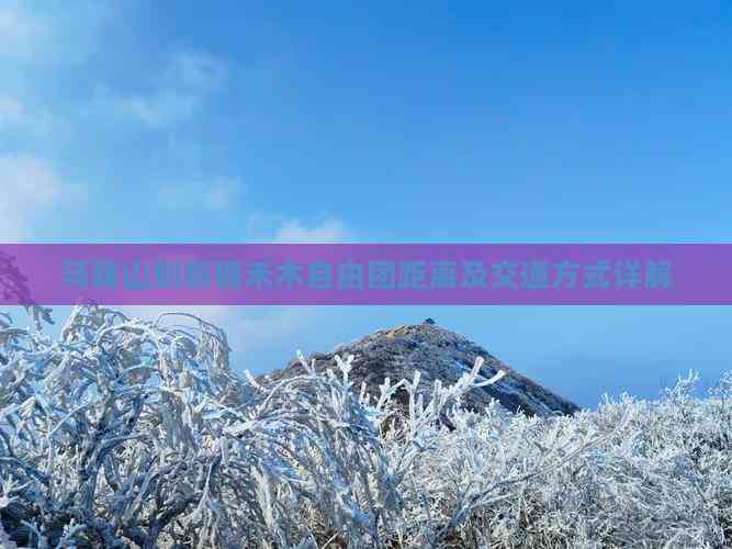 马鞍山到新疆禾木自由团距离及交通方式详解(图2)
