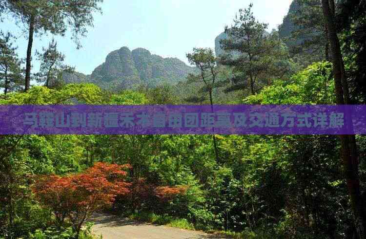马鞍山到新疆禾木自由团距离及交通方式详解