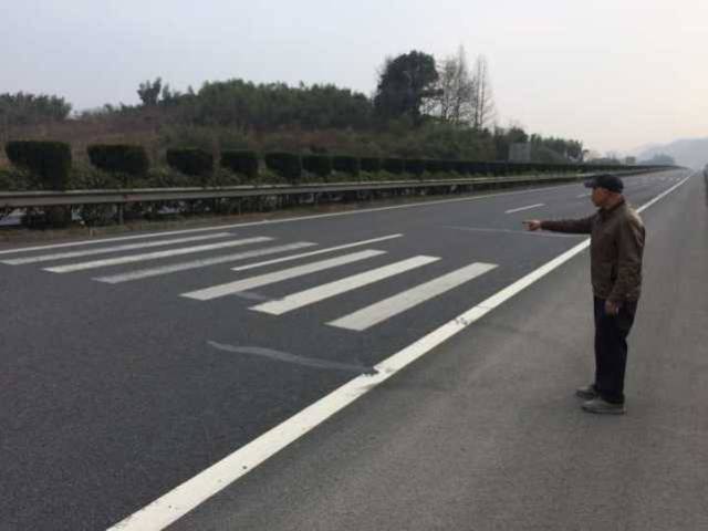 那些易混淆的“孪生”交通标志标线
