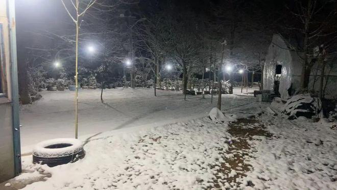 金华即将迎来大到暴雪！