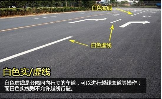 这些常见的交通标线你都认识吗？