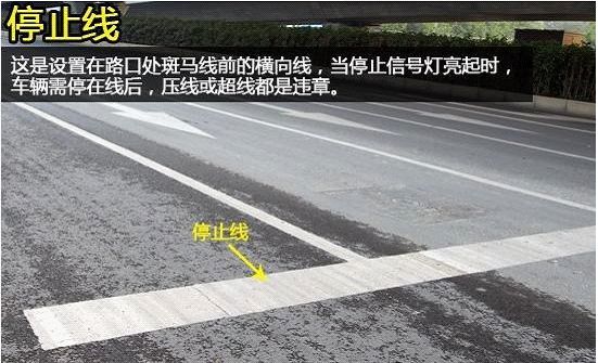 这些常见的交通标线你都认识吗？(图7)