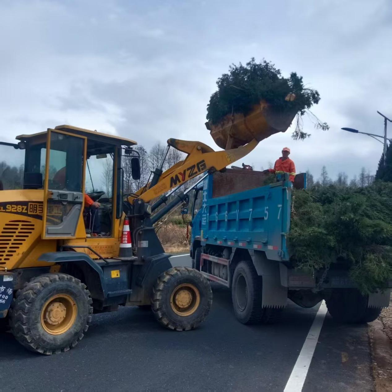 黟县：全力守护道路安全(图2)