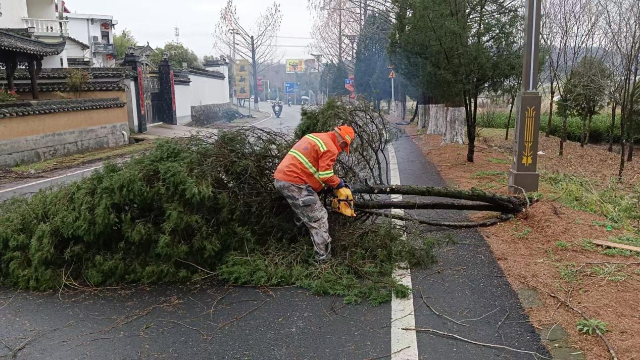 黟县：全力守护道路安全