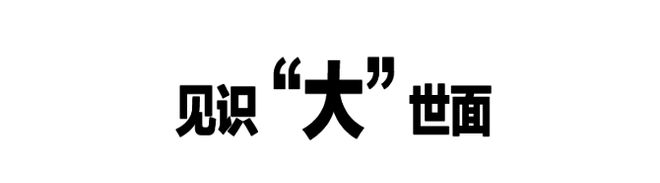2025“岳”级实力“大”有可为(图2)