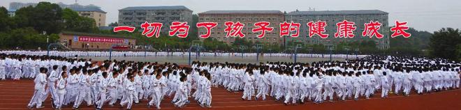 关于对耒阳市茅泗公路（X182线）灶市街