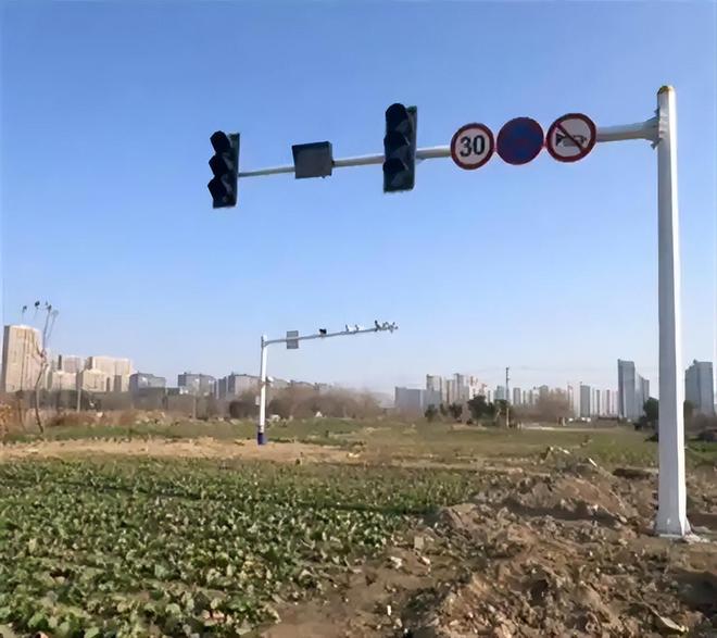 江苏菜地里设立交通信号灯网友吐槽种菜都得