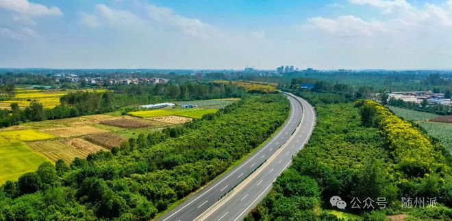 随州全面开展普通公路路域环境综合整治行动(图1)