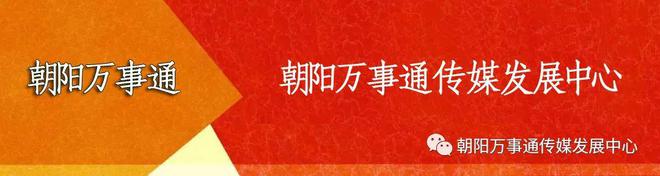 直通莫斯科朝阳首条TIR跨境运输专线成功开行(图6)