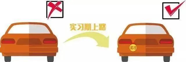 @新手司机这份安全提示请收好！