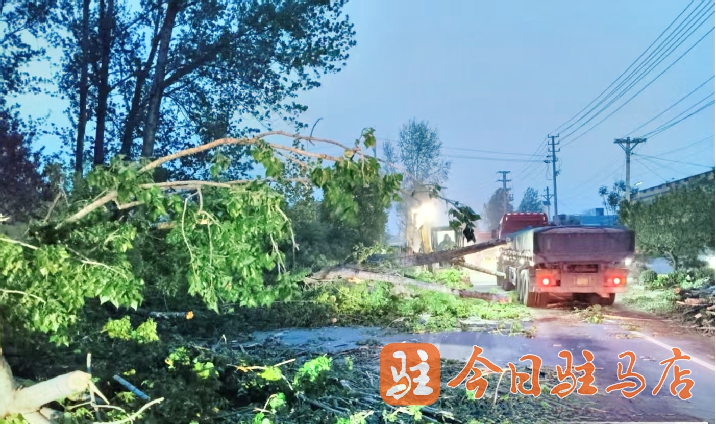 泌阳县公路事业发展中心迅速行动保畅通(图2)
