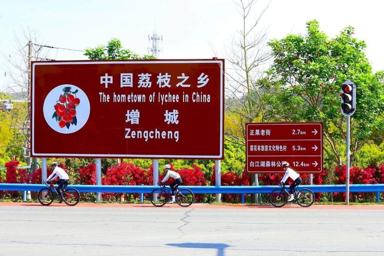 串联多个景点！广州增城最美旅游公路示范段