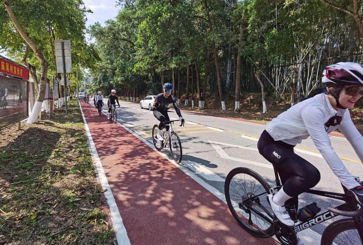 串联多个景点！广州增城最美旅游公路示范段完工(图2)