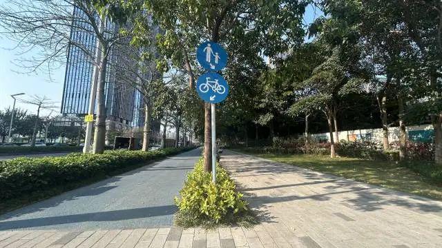 戛然而止突现路障！网友吐槽深圳骑行道希望学习其他城市(图4)