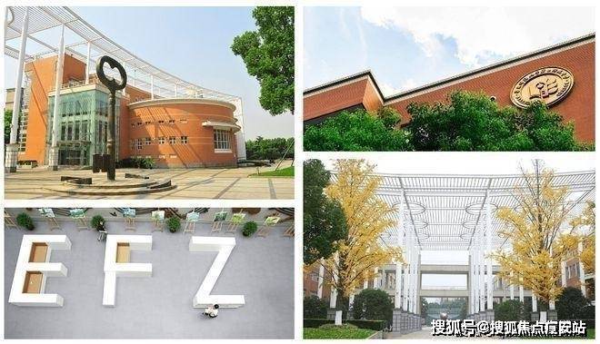嘉善金茂星光里网站金茂星光里首页-房天下(图4)
