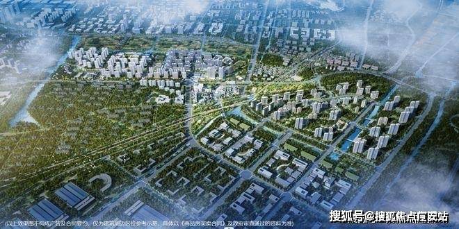 嘉善金茂星光里网站金茂星光里首页-房天下(图14)