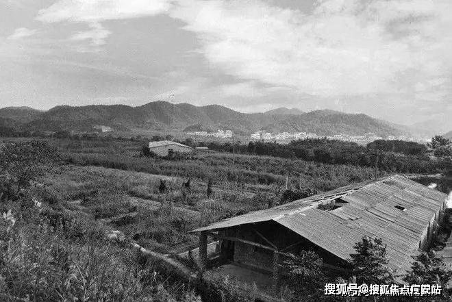 嘉善金茂星光里网站金茂星光里首页-房天下(图12)