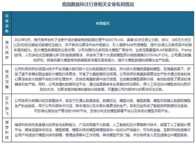 中国数据标注行业现状深度分析与发展前景报告（2025-2032年）(图5)
