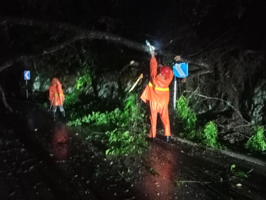 深夜路树倒伏阻通行广昌公路分中心紧急清障