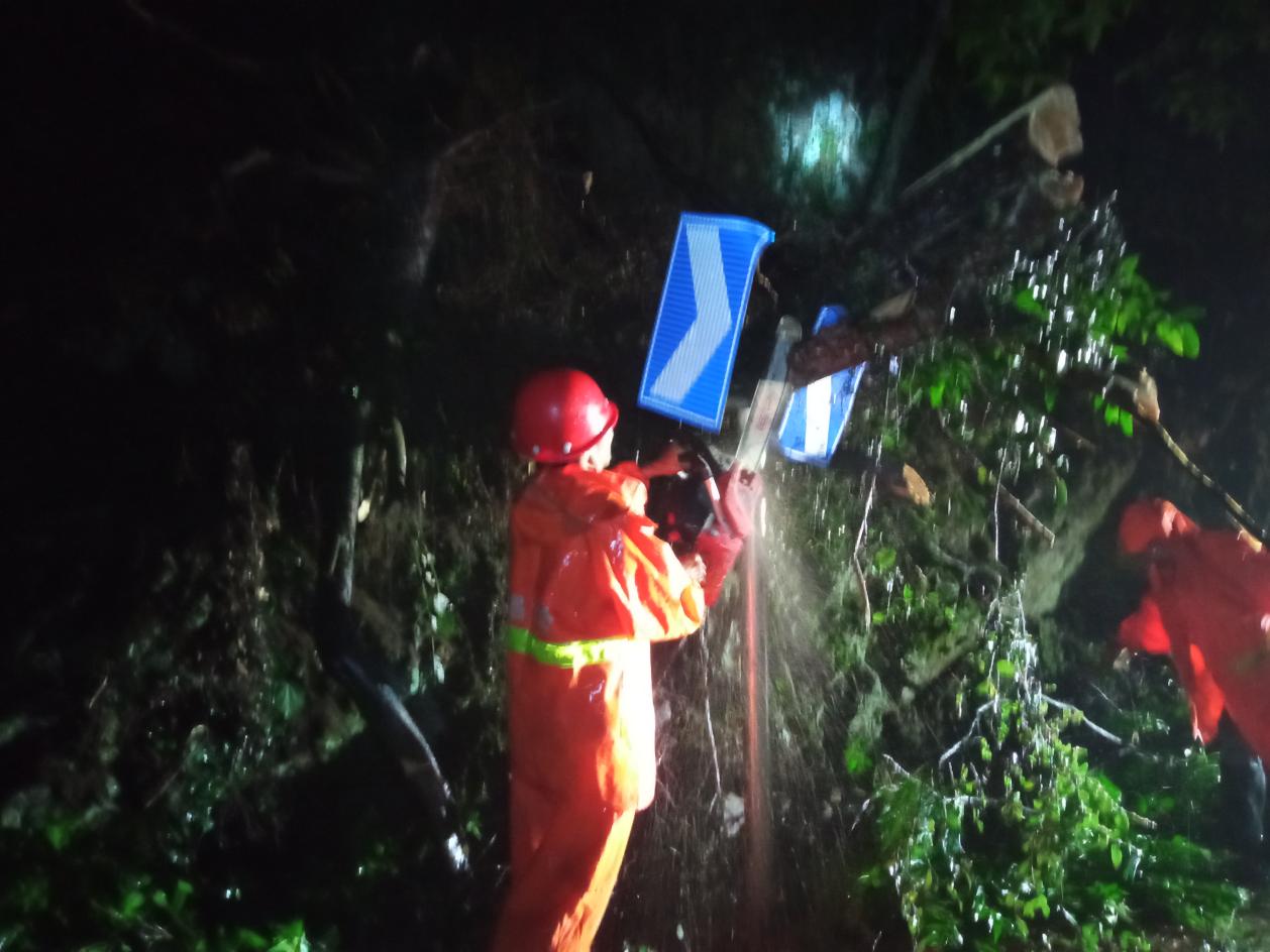 深夜路树倒伏阻通行广昌公路分中心紧急清障保畅通(图4)