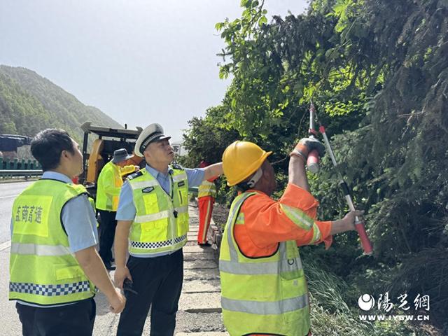 消除绿植遮挡隐患护航道路交通安全