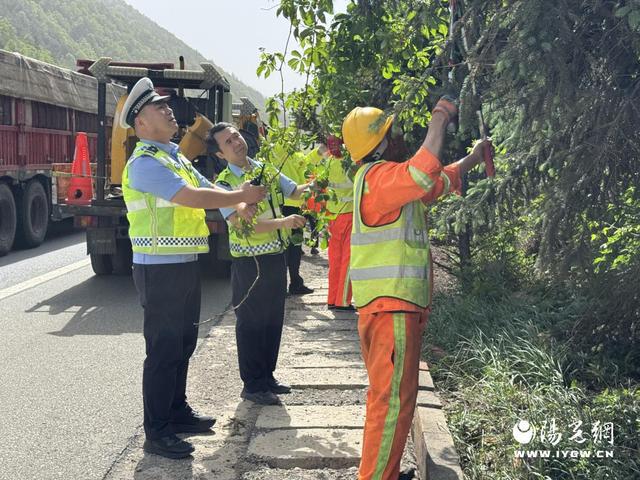 消除绿植遮挡隐患护航道路交通安全(图2)