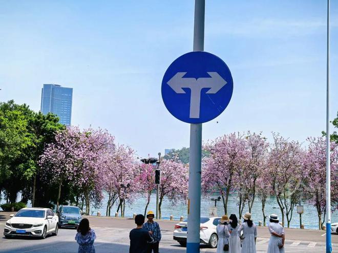 已成“绝版”?柳州金沙角这块网红路牌被拆除!网友吵翻(图5)