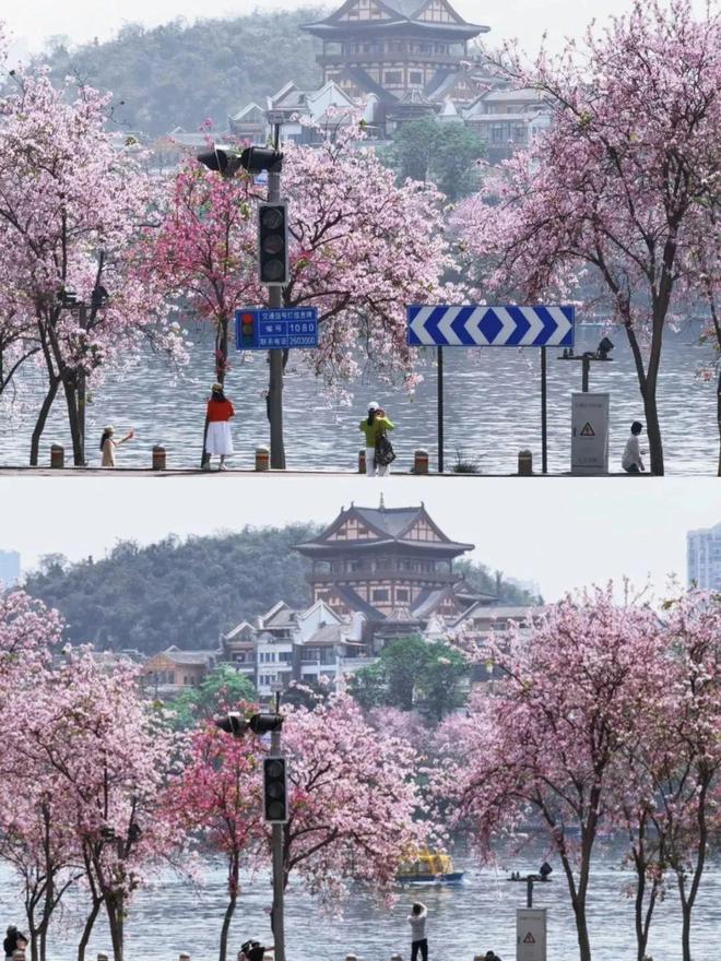 已成“绝版”?柳州金沙角这块网红路牌被拆除!网友吵翻(图4)