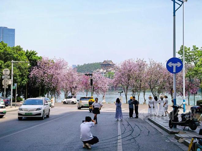 已成“绝版”?柳州金沙角这块网红路牌被拆除!网友吵翻(图2)