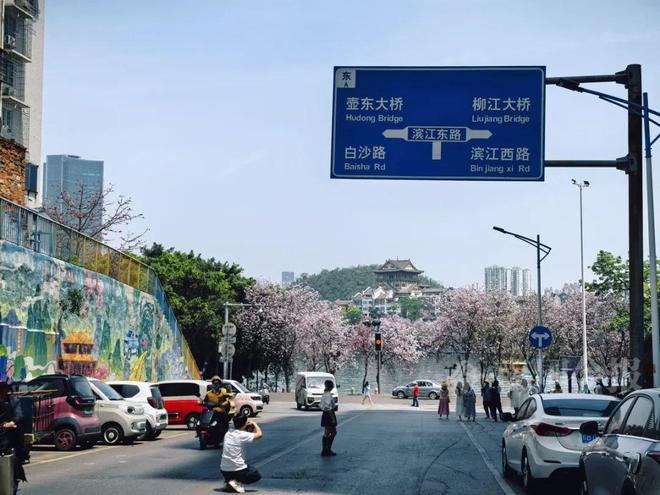 已成“绝版”?柳州金沙角这块网红路牌被拆除!网友吵翻(图3)