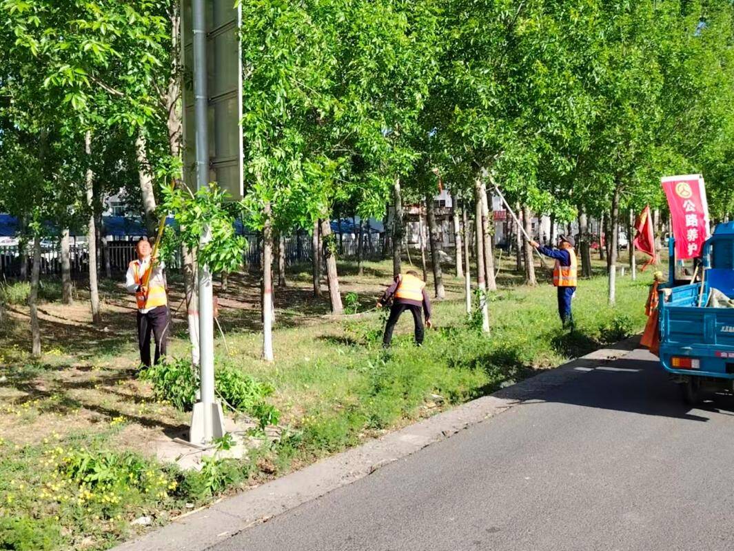 德州公路城区分中心开展路树修剪专项行动(图1)