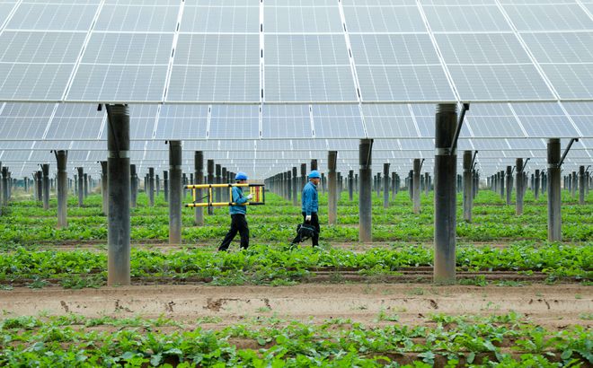 如果美国彻底衰弱世界会变成什么样中国能否扛起大旗？(图3)