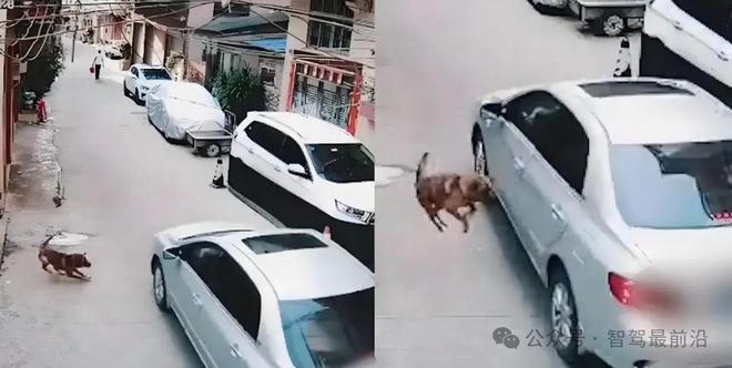 自动驾驶中常提的边缘场景是个啥？(图1)