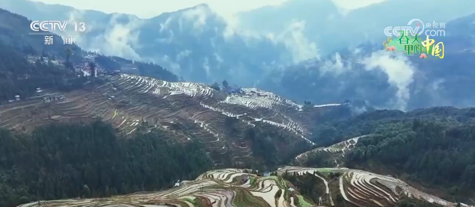 万象“耕”新绘“丰”景各地多彩春耕画面拼就“三农”丰收盛景图(图15)