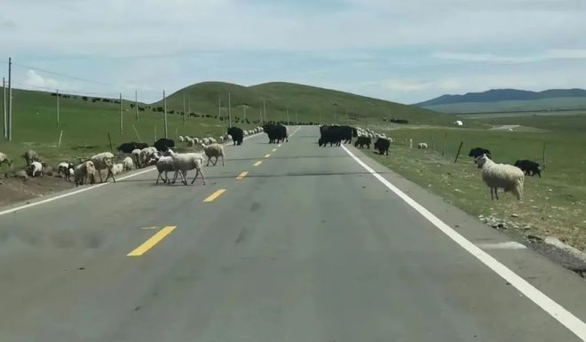 【重要提醒】道路千万条安全驾驶第一条(图9)