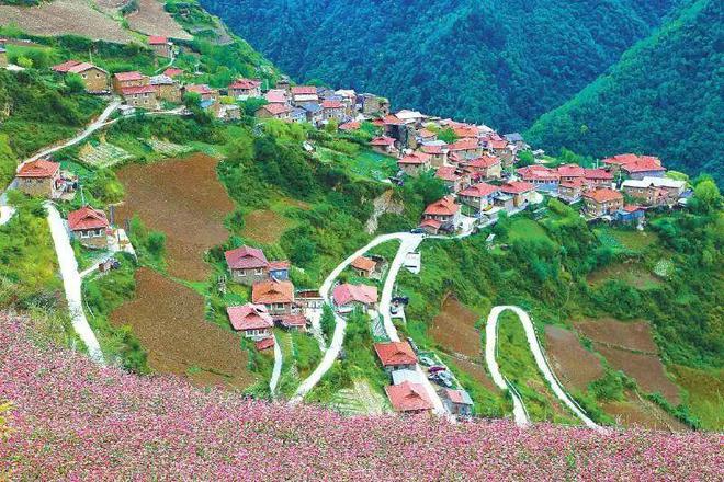 【重要提醒】道路千万条安全驾驶第一条(图10)