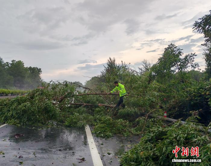广东多条高速恢复通行湛徐、徐闻港支线部分仍然管制(图1)